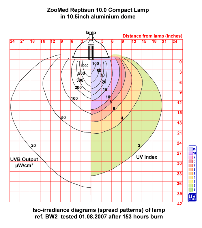 Fig. 18: Iso-irradiance chart: Reptisun 10.0 Compact  Lamp in large dome