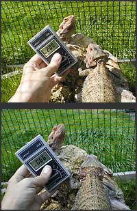 Fig. 8. UVB in early September in the UK. Above: full sun. Below: small cloud in front of sun.