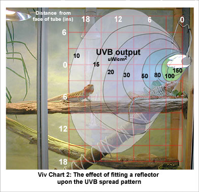 Viv Chart 2: Fluorescent Tube with Reflector